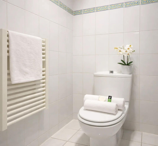 Bathroom 4, 1607 Brancion, Paris