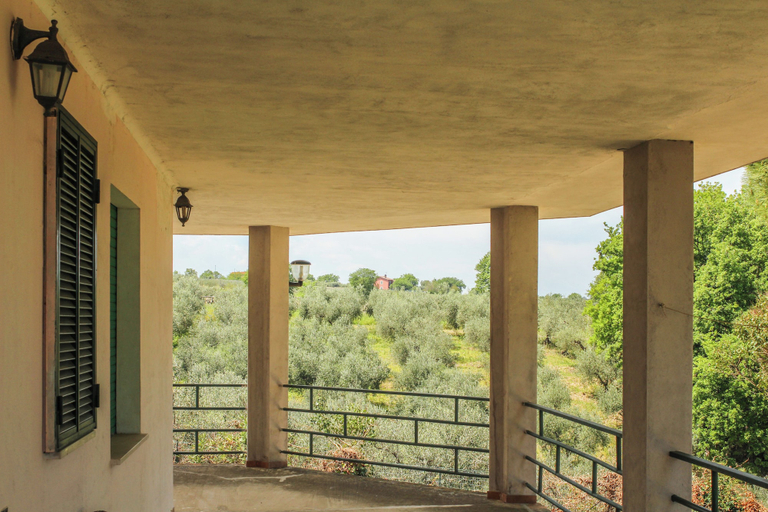 Property grounds 3, La Casa di Pippo, Chieti
