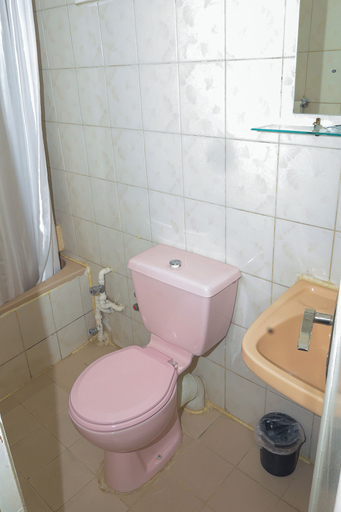 Bathroom 4, Cleopatra Hotel, Aswan