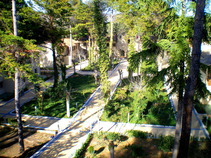 Property grounds, Progevita, Valencia