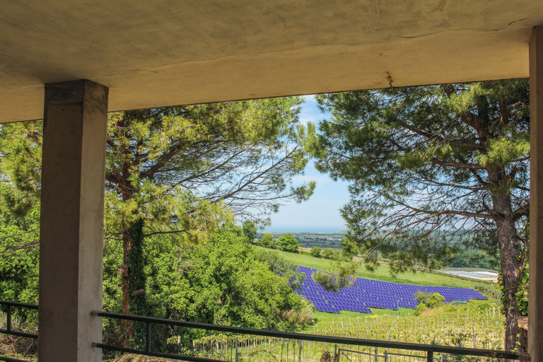 Property grounds 5, La Casa di Pippo, Chieti