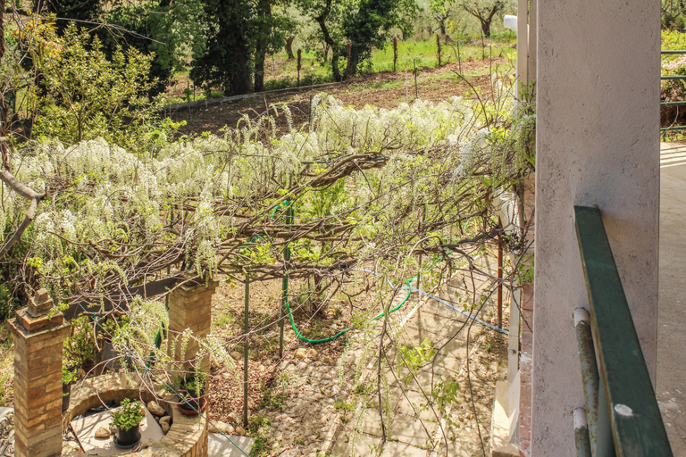 Property grounds 2, La Casa di Pippo, Chieti