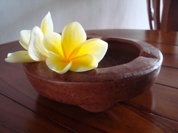 Sport & Beauty, Taman Ayu Homestay Munduk, Buleleng