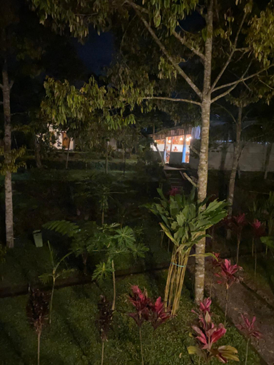 Others 5, Hotel O Avocado Homestay, Lombok