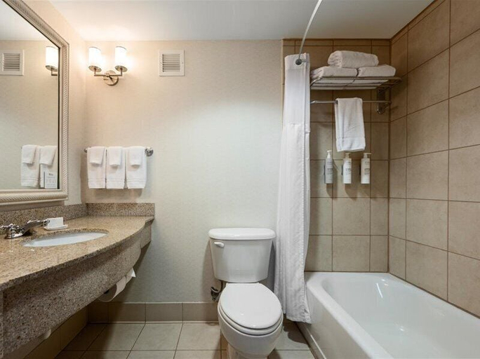Bathroom 4, Hilton Garden Inn Winchester, Winchester