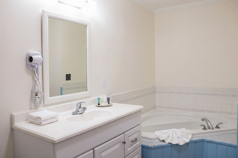 Bathroom 4, Blue Heron Motel, Dare