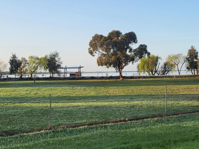 Surrounding environment 4, Kangaroo Lake C & V Park, Gannawarra