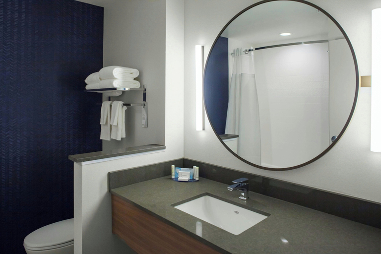 Bathroom 5, Fairfield Inn & Suites by Marriott Roanoke Salem, Roanoke City