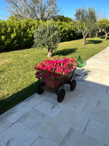 Others 2, Tenuta Lu Beddhru, Lecce
