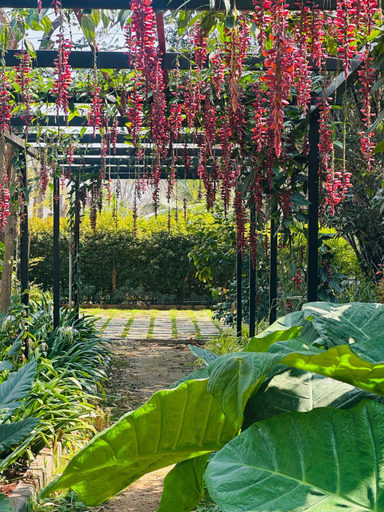 4, 1000 SILVERS -Farm Stay, Mysore