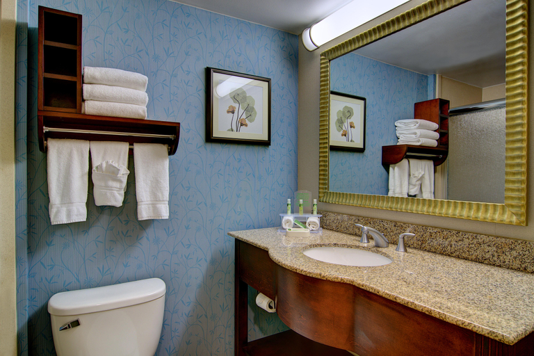 Bathroom 5, Spark by Hilton Germantown Washington DC North, Montgomery