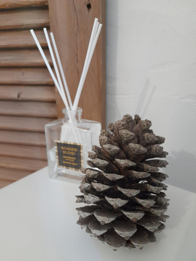 Food & Drinks 5, La resiniere de pirique, Landes