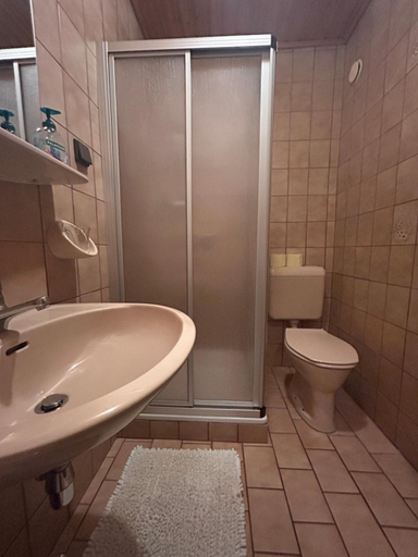 Bathroom 1, Bamerhof, Zell am See