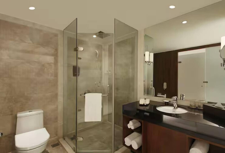 Bathroom 5, Doubletree By Hilton Pune - Chinchwad, Pune