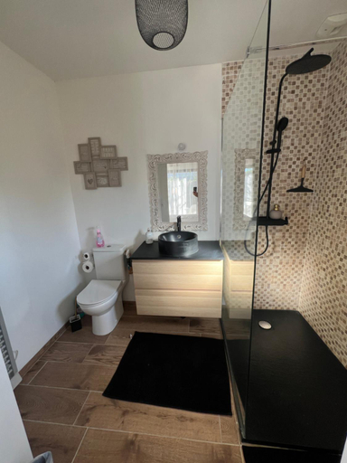 Bathroom, Quiniere - 25 m2 independant avec piscine - Wifi, Loir-et-Cher