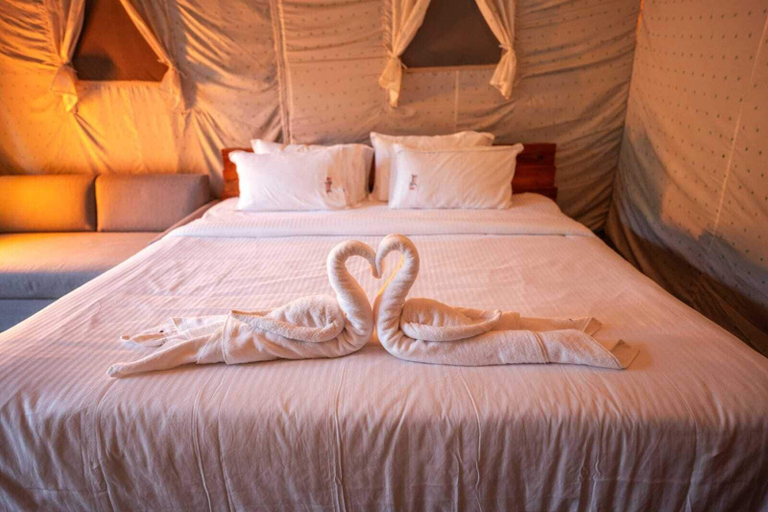 Room 5, Yaarnagar Jungle Resort Ratapani, Sehore
