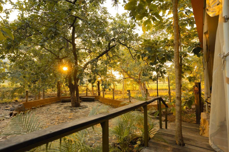 Property grounds 3, Yaarnagar Jungle Resort Ratapani, Sehore