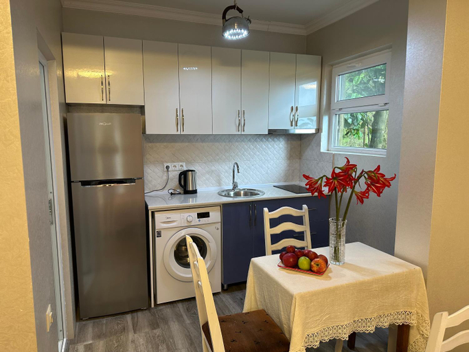 Others 5, Seaside apartment_abuseridze, Batumi