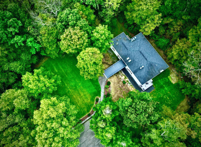 Others 4, The Harlow House, Dutchess