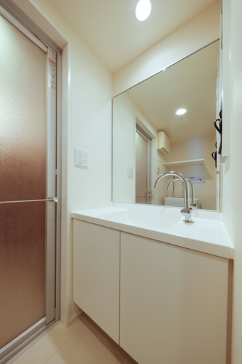 Bathroom 4, Grand Duo Shirokane by Tranova, Minato