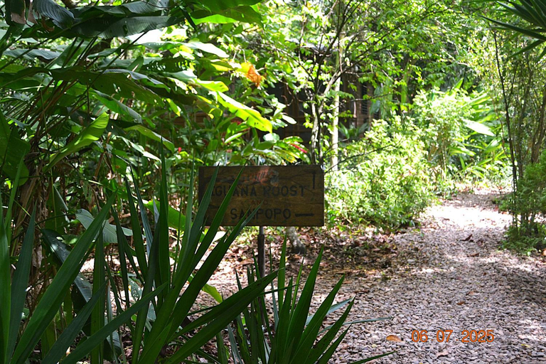 Others 3, 2BR Jungle Home with AC Near San Ignacio great base for exploring ruins and ATM