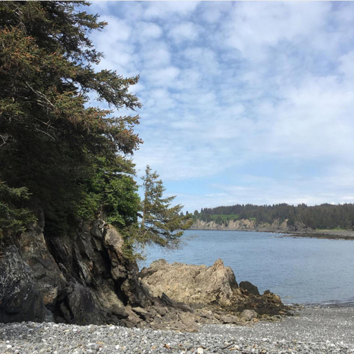 Others 2, SEA PARROT INN, LLC - BED AND BREAKFAST- ADULTS ONLY, Kenai Peninsula
