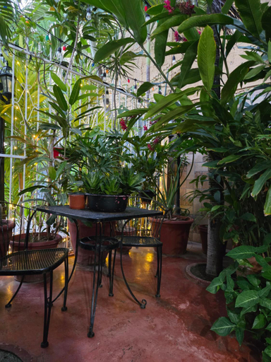 Food & Drinks, Hotel Posada Marcas, Isla Mujeres