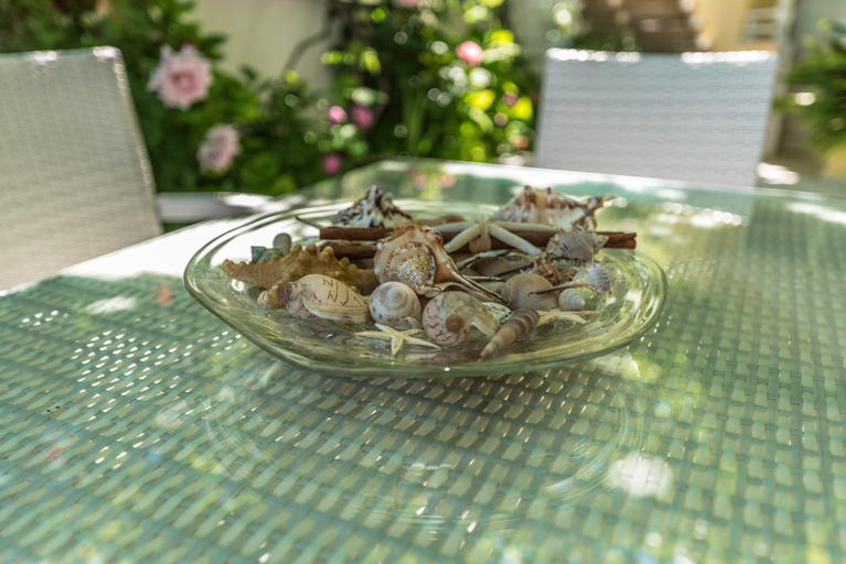 Food & Drinks 4, Elena Nina Studios, East Macedonia and Thrace