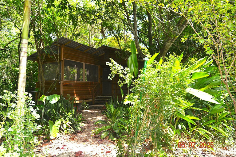 Others 5, 2BR Jungle Home with AC Near San Ignacio great base for exploring ruins and ATM