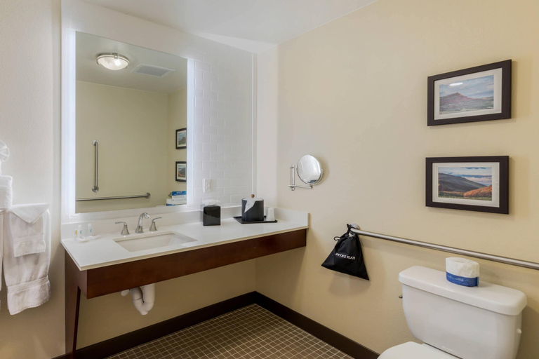 Bathroom 5, Comfort Suites Loveland, Larimer