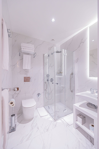 Bathroom 5, Hosianum Palace, Rome