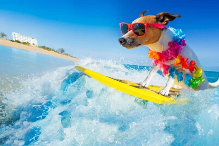 Interior 5, Changes In Latitude Pet Friendly Retreat, Volusia