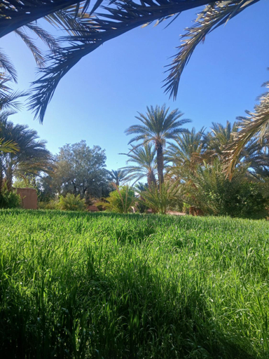 Others 5, Chez Moulay Ismail, Zagora