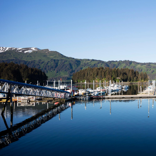 Others 5, SEA PARROT INN, LLC - BED AND BREAKFAST- ADULTS ONLY, Kenai Peninsula