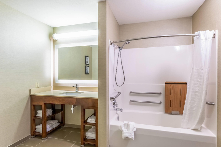 Bathroom 5, Comfort Suites Escanaba West, Delta