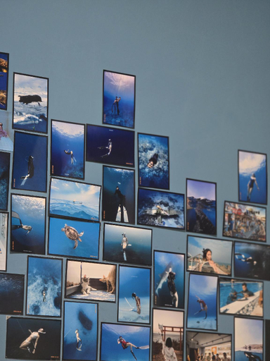 Others 5, BO Freediving Private House, Pingtung