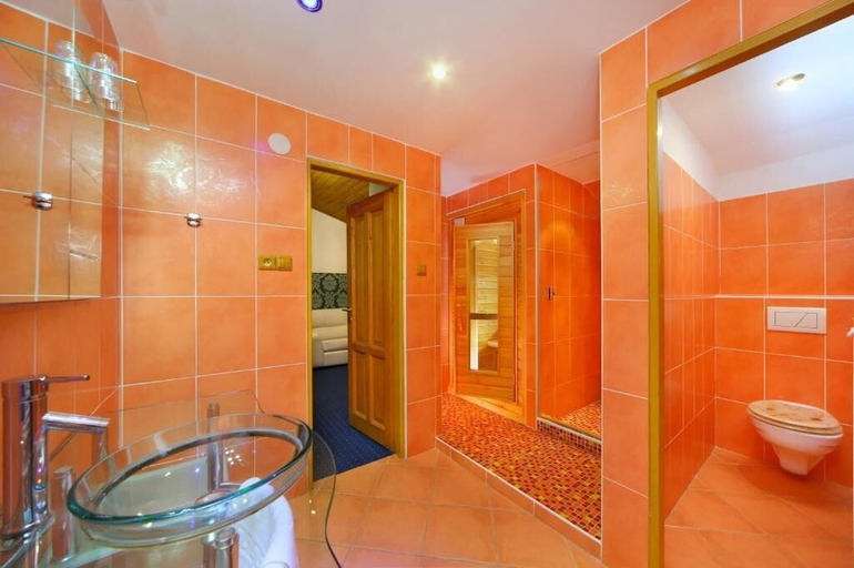 Bathroom 5, Hotel Lesana, Trutnov