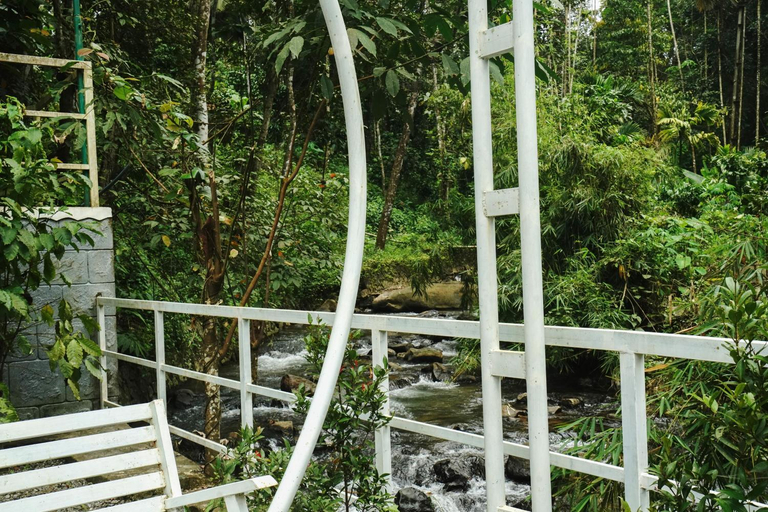 4, Villa La Vista Homestay, Kozhikode