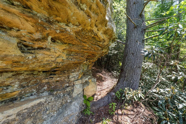 Interior 2, Wifi - Pet Friendly - Secluded Knotty By Nature, Wolfe