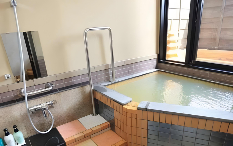 Bathroom 3, Bihadanoyu Koshikanoonsen, Kirishima