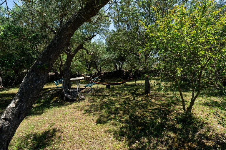 Others 3, Villa Irma with Private Pool by Wonderful Italy, Bari