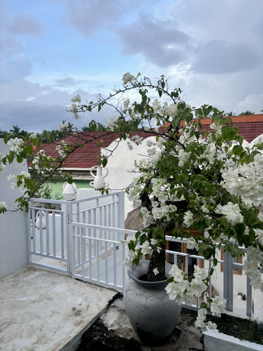 Others 5, Nusa Penida Homestay, Klungkung