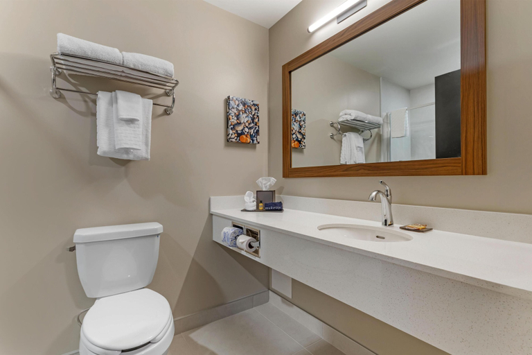 Bathroom 4, Best Western Plus Neepawa Hotel, Division No. 15