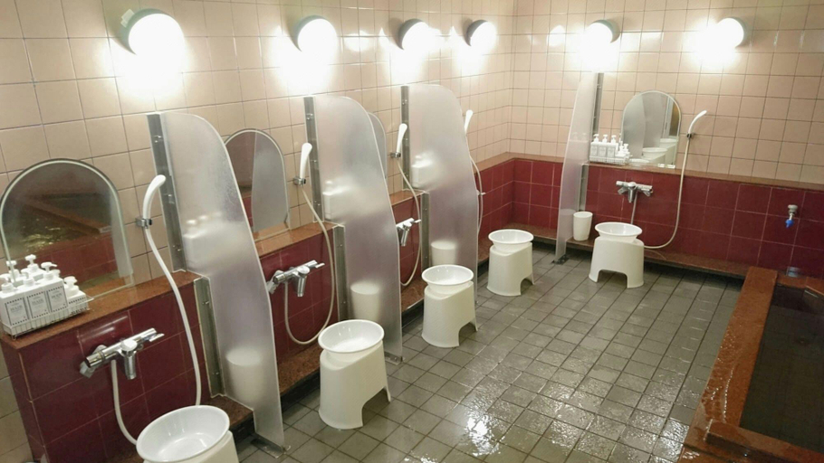 Bathroom, Atsugi City Hotel, Atsugi