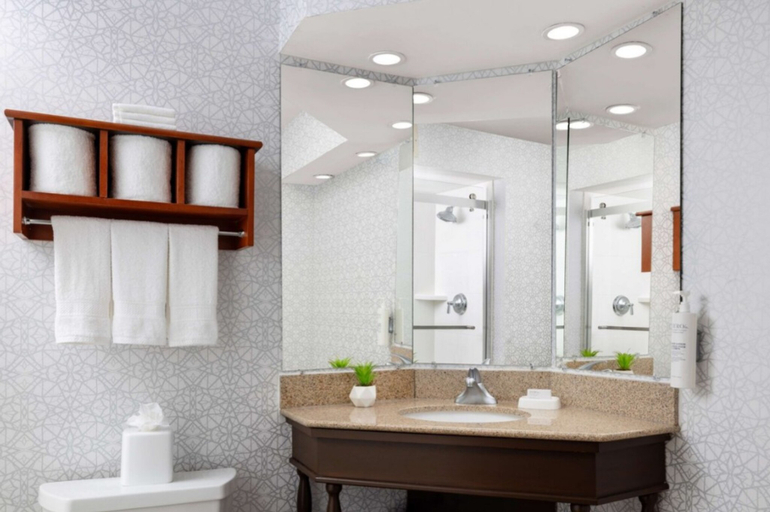 Bathroom 4, Hampton Inn Memphis-Walnut Grove/Baptist Hospital, Shelby