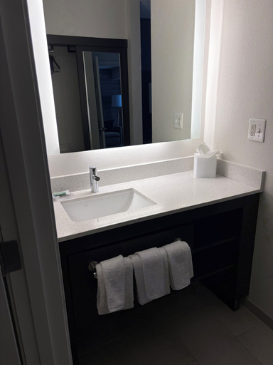 Bathroom 5, Residence Inn By Marriott Flint, Genesee