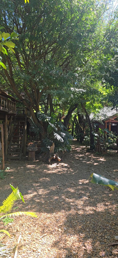 Others 3, tropical garden homestay, Đức Trọng