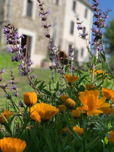 Exterior & Views 1, Le Spine B&B sulla Via Francigena, Parma