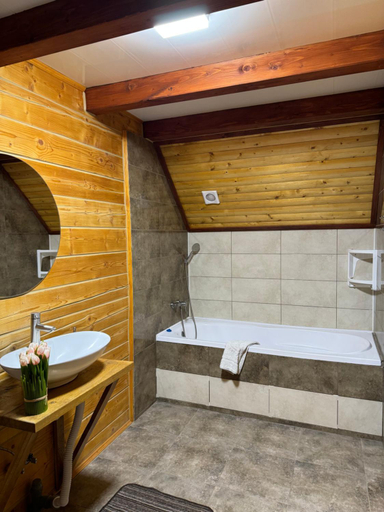 Bathroom 4, Готель Близнюки, Nadvirnians'kyi