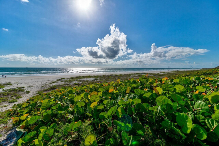 Interior 5, Yellow Sunshine Oceanfront Townhouse, Private Balcony Unit #2, Volusia